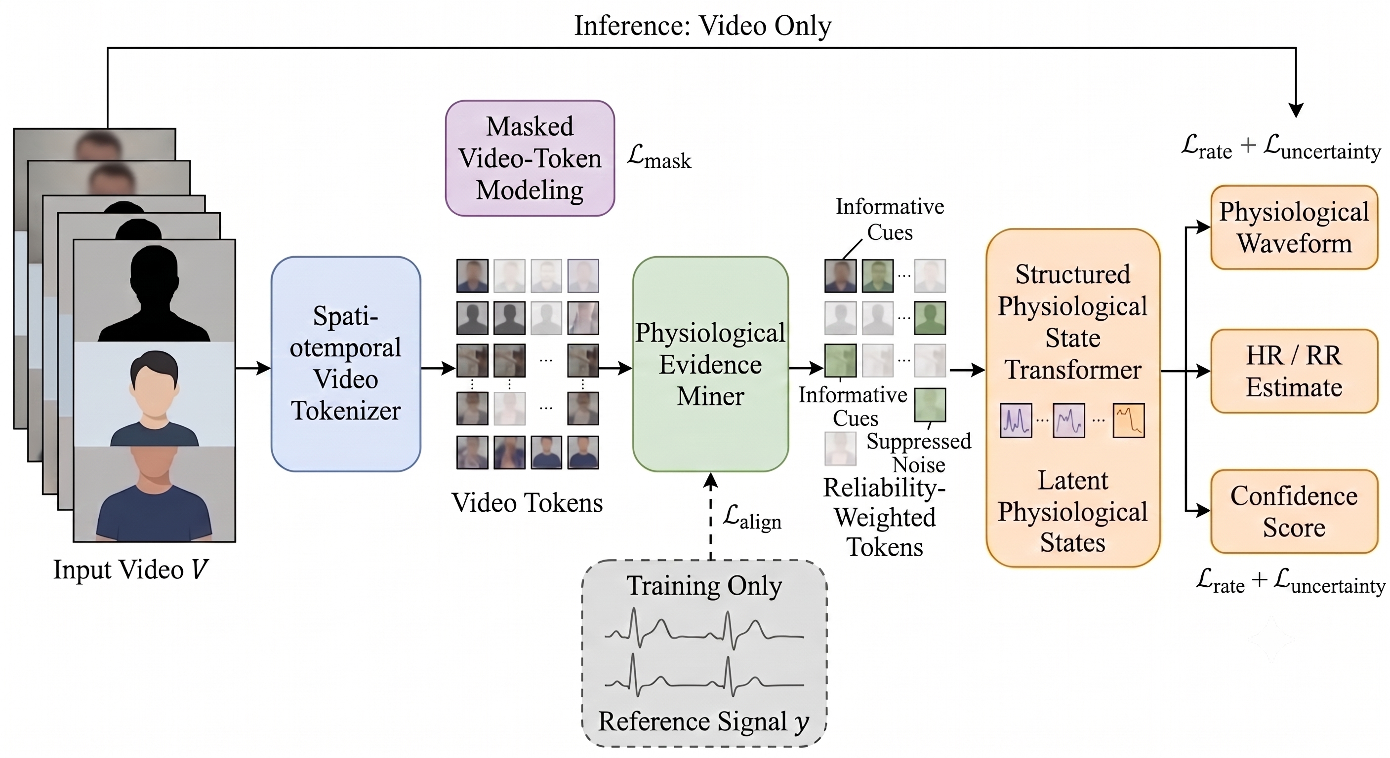 Reliability-Guided Video Token Learning